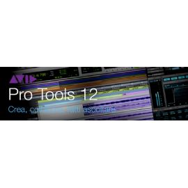 SOFTWARE PRO TOOLS INSTITUTIONAL CON UPGRADE E SUPPORT PLAN ANNUALE (CARD + ILOK) AVID